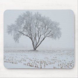 Frost auf einem einsamen Baum Mousepad