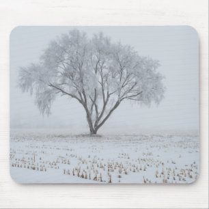 Frost auf einem einsamen Baum Mousepad