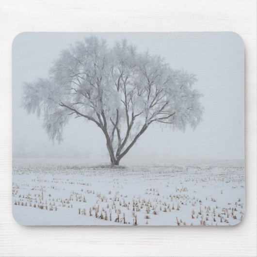 Frost auf einem einsamen Baum Mousepad (Vorne)