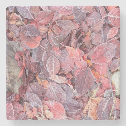 Frost auf gefallenen Blätter, Herbstfarben, Mill C Steinuntersetzer (Vorderseite)