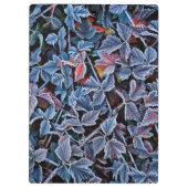 Frost auf Herbstblättern, Oregon Klemmbrett (Rückseite)