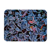Frost auf Herbstblättern, Oregon Magnet (Horizontal)