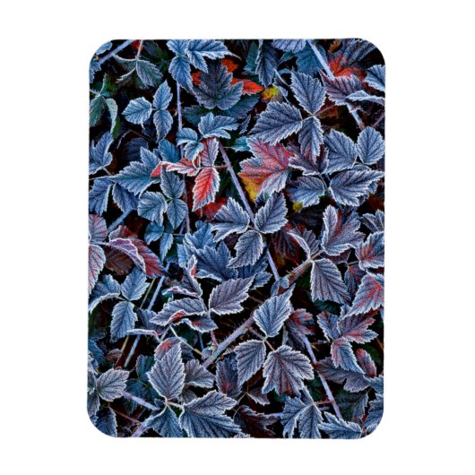 Frost auf Herbstblättern, Oregon Magnet (Vertikal)