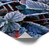 Frost auf Herbstblättern, Oregon Poster (Ecke)