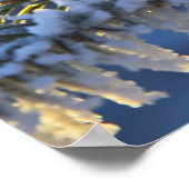 Frost auf immergrünen Baum, Homer, Alaska Poster (Ecke)