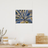 Frost auf immergrünen Baum, Homer, Alaska Poster (Küche)