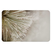 Frost bedeckt Yucca im Winter Magnet (Horizontal)