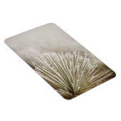 Frost bedeckt Yucca im Winter Magnet (Rechte Seite)