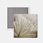 Frost bedeckt Yucca im Winter Magnet (Vorderseite/Rückseite)