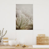 Frost bedeckt Yucca im Winter Poster (Küche)