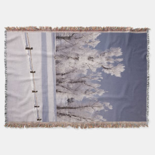 Frost bedeckte Bäume und Zaun, Colorado Decke