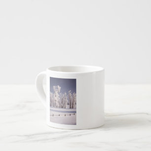 Frost bedeckte Bäume und Zaun, Colorado Espressotasse
