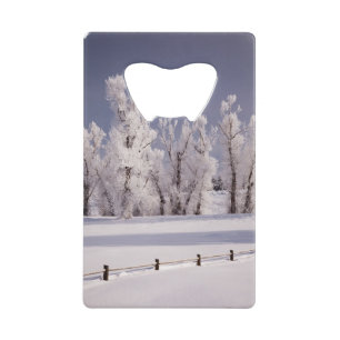 Frost bedeckte Bäume und Zaun, Colorado Kreditkarten Flaschenöffner