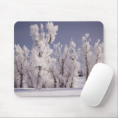 Frost bedeckte Bäume und Zaun, Colorado Mousepad (Mit Mouse)