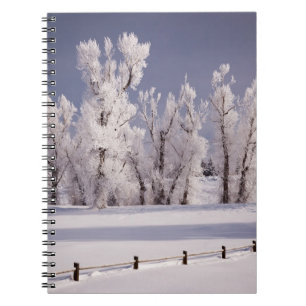 Frost bedeckte Bäume und Zaun, Colorado Notizblock