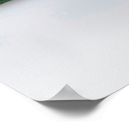 Frost E. Snowman Poster (Ecke)