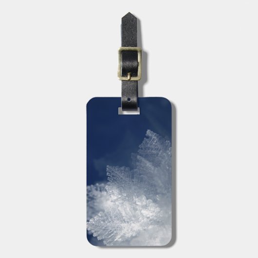 Frost Gepäckanhänger (Vorderseite vertikal)