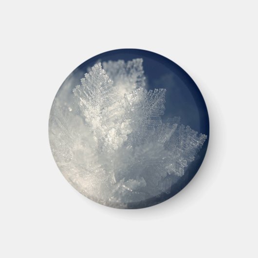 Frost Magnet (Vorne)