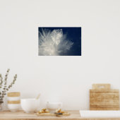 Frost Poster (Küche)