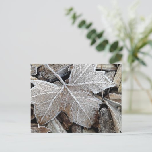 Frost Postkarte (Stehend Vorderseite)