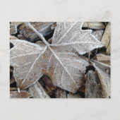 Frost Postkarte (Vorderseite)