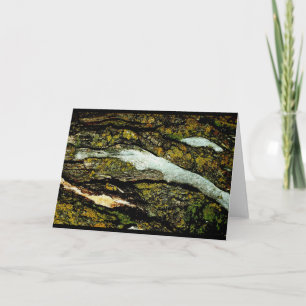 "Frost Scars" JTG Art Greeting Card Karte