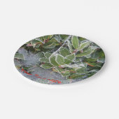 Frost umfaßter Stechpalmen- und Pappteller (Schrägansicht)