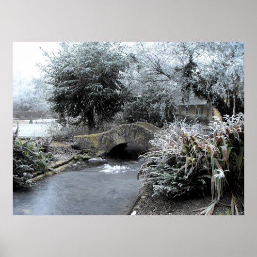 Frost und Eis im Garten von Somerset Poster (Vorne)