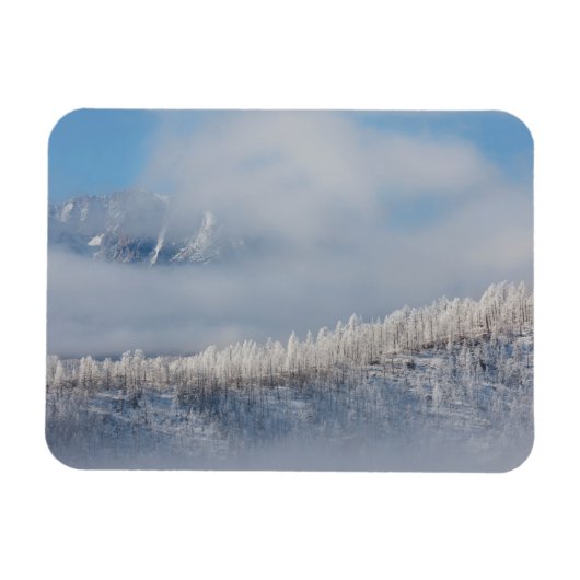 Frost und Nebel in den Bergen Magnet (Horizontal)