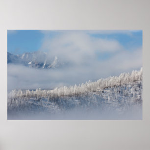 Frost und Nebel in den Bergen Poster
