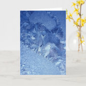 Frost versieht Gruß-Karte mit Federn Karte (Gelbe Blume)