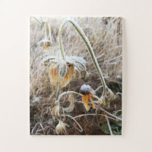 Frost Wilted Rudbeckia Blume Fotografie Puzzle