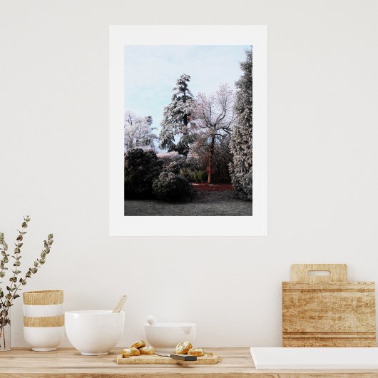 Frostbäume Poster (Küche)
