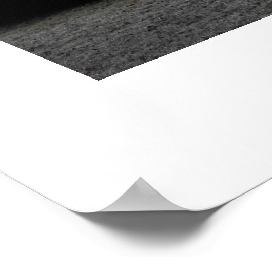 Frostbäume Poster (Ecke)