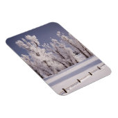 Frostbedeckte Bäume und Zaun, Colorado Magnet (Rechte Seite)