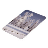 Frostbedeckte Bäume und Zaun, Colorado Magnet (Linke Seite)