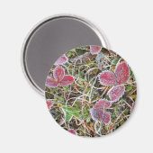 Frostbedeckte Blätter, Kanada Magnet (Vorderseite/Rückseite)
