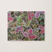 Frostbedeckte Blätter, Kanada Puzzle (Horizontal)