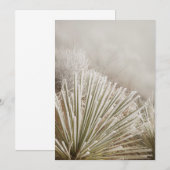 Frostbedeckter Yucca im Winter Dankeskarte (Vorne/Hinten)