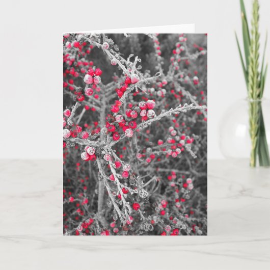 Frosted Berries Card Feiertagskarte (Vorderseite)
