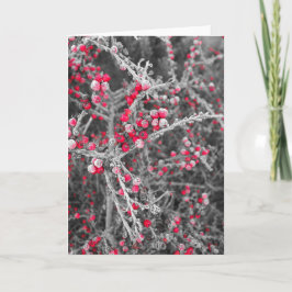 Frosted Berries Card Feiertagskarte