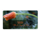 Frosted California Poppy Book Identification (Vorne)