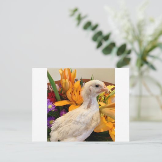 Frostente Postkarte (Stehend Vorderseite)