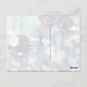 Froster Sommer Postkarte (Rückseite)