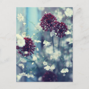 Froster Sommer Postkarte