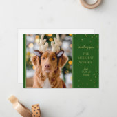 Frostes Weihnachts-Foto Mitteilungskarte (Vorderseite/Rückseite Beispiel)