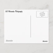 Frostfälle Postkarte (Rückseite)