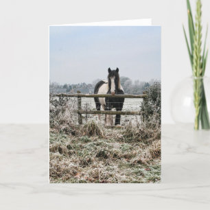 Frostfeld Feiertagskarte