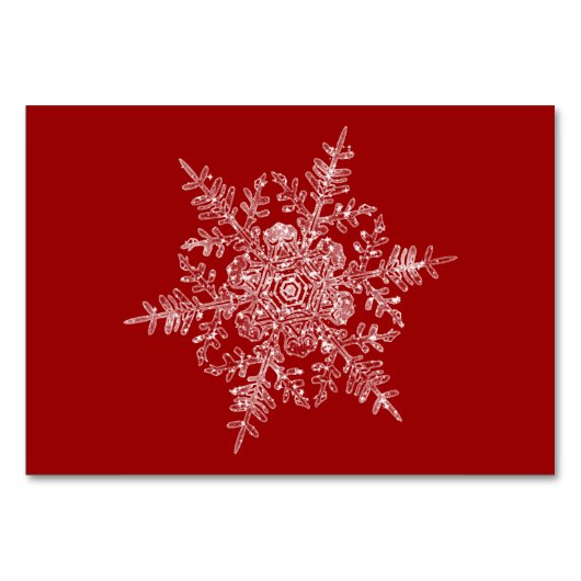 Frostflake Tischnummer (Rückseite)