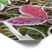 Frostgedeckte Blätter, Kanada Poster (Ecke)